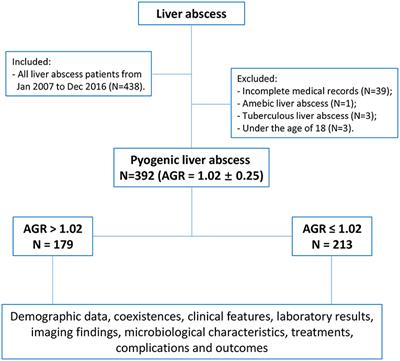 Clinical Significance of Serum Albumin/Globulin Ratio in Patients With Pyogenic Liver Abscess